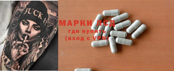 прущие грибы Приозерск