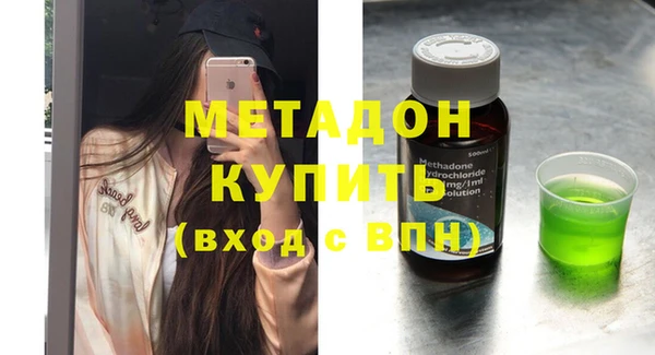 прущие грибы Приозерск