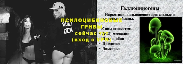 прущие грибы Приозерск