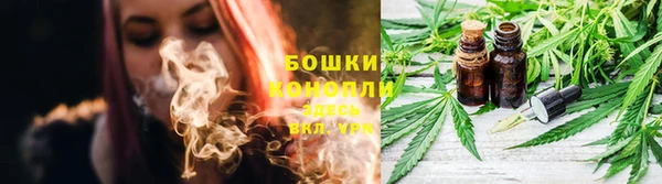 прущие грибы Приозерск