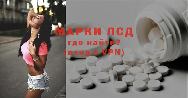 прущие грибы Приозерск