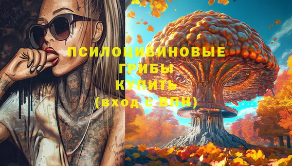 mdpv Пролетарск