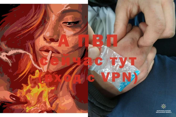 ECSTASY Протвино