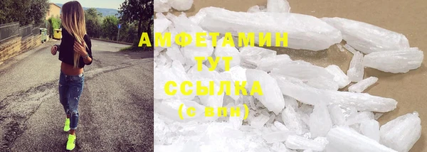 прущие грибы Приозерск