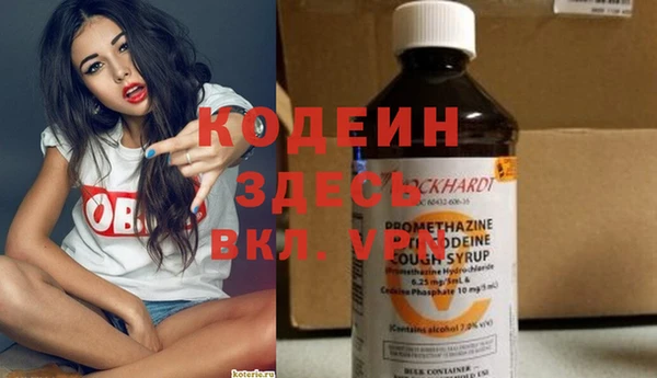 прущие грибы Приозерск