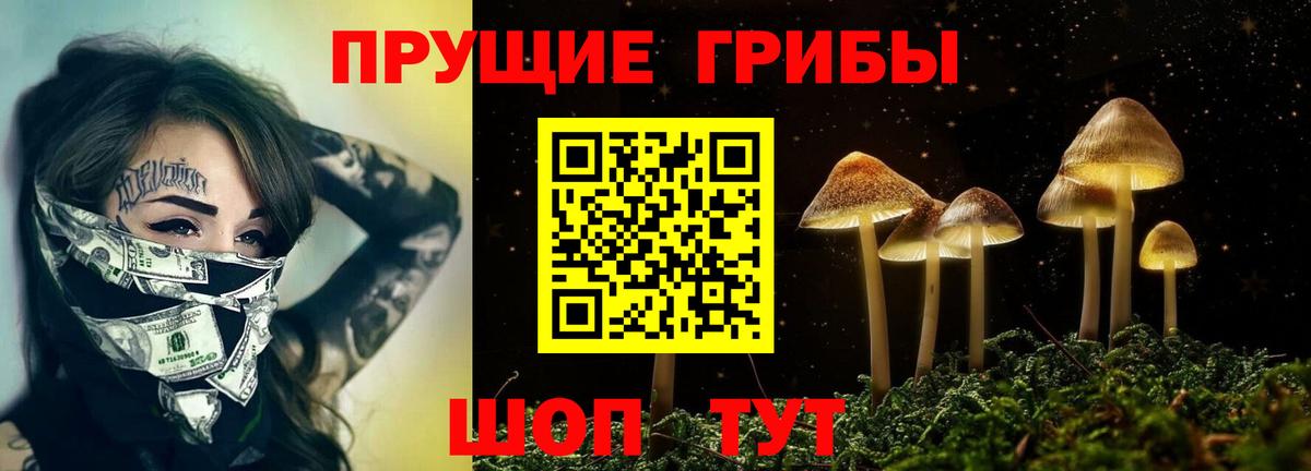 сколько стоит  Вход с VPN  Тутаев  Галлюциногенные грибы ЛСД  Псилоцибиновые грибы ЛСД 